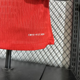 2026-27 Mens Norway home red Player version soccer jersey