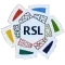 RSL(45沙特联)左袖