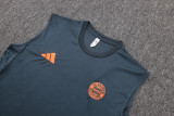 2025-26 Mens Bayern Munich dark grey Vest short training