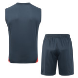2025-26 Mens Bayern Munich dark grey Vest short training
