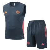 2025-26 Mens Bayern Munich dark grey Vest short training