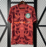 2025-26  Mens  Palmeiras  goalkeeper red Soccer Jersey