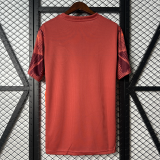 2025-26  Mens  Palmeiras  goalkeeper red Soccer Jersey