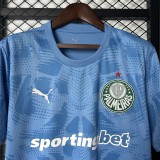 2025-26Mens  Palmeiras  goalkeeper  Soccer Jersey