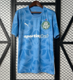 2025-26Mens  Palmeiras  goalkeeper  Soccer Jersey