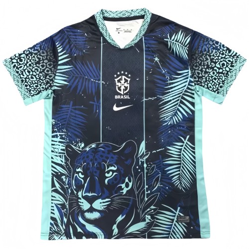 2025-26  Mens Brazil Special Edition  blue soccer jersey