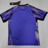 2025-26 Mens  Botafogo goalkeeper Purple Soccer Jersey