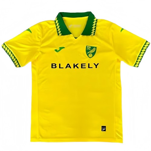 2025-26 Mens Norwich City Home yellow  Fans Soccer Jersey