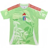 2025-26 Mens Italy Away green Soccer Jersey