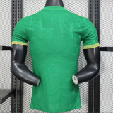 2025-26 Mens Mexico Player version special edition green soccer jersey