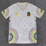 2026-27 Mens  Mali  White Fans Soccer Jersey