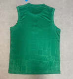 2025-26 Mens  Mexico Green Vest green soccer jersey