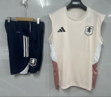 2025-26 Mens Aston Villa vest short training suit