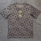 2025-26 Mens Bayern Munich Grey Special Edition  soccer Jersey