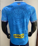 2025-26 Mens Santos Special Edition Player blue Soccer Jersey