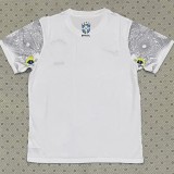 2025-26 Mens Brazil Special Edition White  soccer jersey