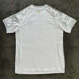 2025-26 Mens Real Madrid Silver Grey Special Edition soccer jersey