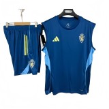 2025-26 Mens Zaragoza blue vest short training suit