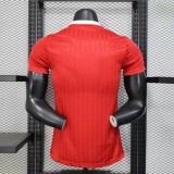 2025 AD Casual red Player Version Training shirts