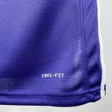 25-26 Lakers JAMES #23 Purple Top Quality Hot Pressing NBA Jersey (Trapeze Edition) 飞人版
