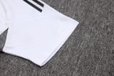 2025-26 Mens Germany white short training suit