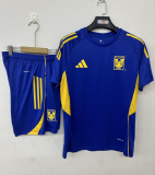 2025-26  Mens Tigres UANL Blue  short training suit