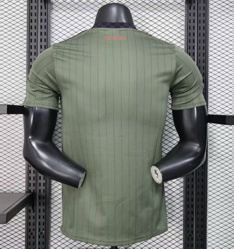 2025-26 Mens Bayern Munich Green Grey Casual Edition Player  Soccer Jersey