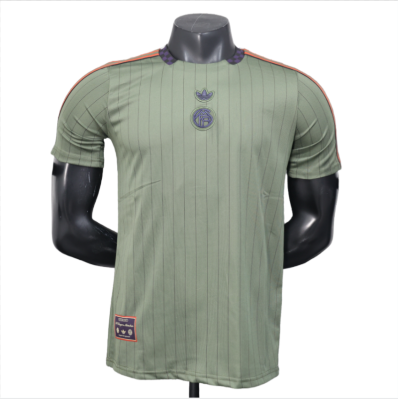 2025-26 Mens Bayern Munich Green Grey Casual Edition Player  Soccer Jersey