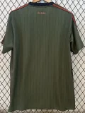 2025-26 Mens Bayern Munich Green Grey Casual Edition  Soccer Jersey
