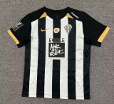 2025-26 Mens Angers SCO Home Fans Soccer Jersey