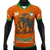 2025-26 Mens Ivory Coast orange Player version soccer Jersey