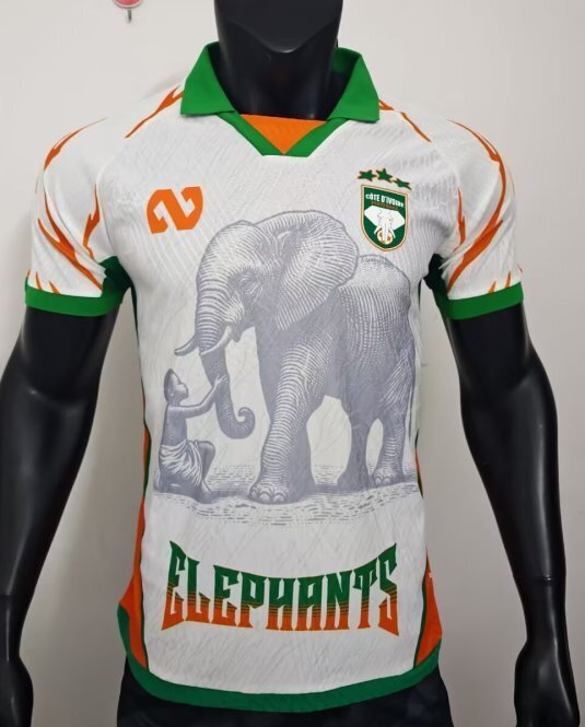 2025-26 Mens Ivory Coast white Player version soccer Jersey