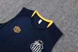 2025-26 Mens  Santos vest Training Short Suit
