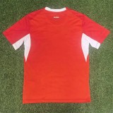 2026-27  Mens Switzerland Home red soccer jersey