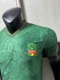 2025-26 Mens  Mali  Green Player version Soccer Jersey