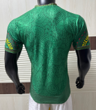 2025-26 Mens  Mali  Green Player version Soccer Jersey