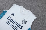 2025-26 Mens Arsenal gray vest Training Short Suit