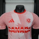 2026-27Mens Canada  World Cup Culture Promotion Red  Player Version soccer Jersey