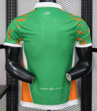 2025-26 Mens Ivory Coast green Player version soccer Jersey