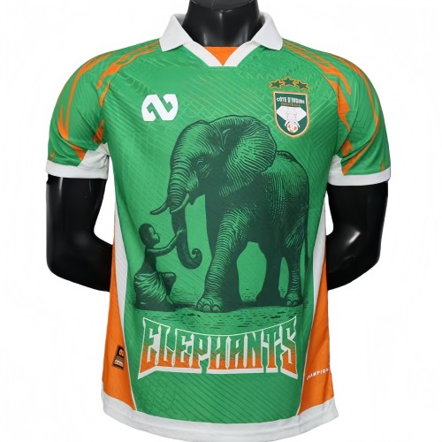 2025-26 Mens Ivory Coast green Player version soccer Jersey