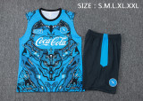2025-26 Mens Napoli blue vest Training Short Suit D25207#