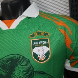 2025-26 Mens Ivory Coast green Player version soccer Jersey