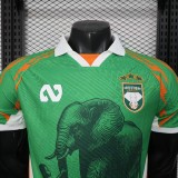 2025-26 Mens Ivory Coast green Player version soccer Jersey