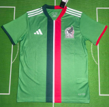 2025-26 Mens Mexico green Goalkeeper Fans Soccer Jersey