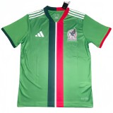 2025-26 Mens Mexico green Goalkeeper Fans Soccer Jersey