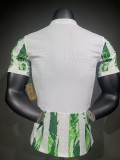 2025-26 Mens Nigeria Home Player version Soccer Jersey
