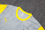 2025-26 Mens Borussia Dortmund grey training Short suit    D25212#