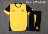 2025-26 Mens Borussia Dortmund yellow training Short suit  D25211#