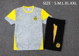 2025-26 Mens Borussia Dortmund grey training Short suit    D25212#