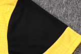 2025-26 Mens Borussia Dortmund yellow training Short suit  D25211#